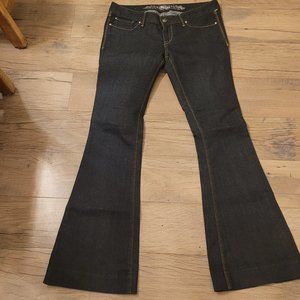 NWOT Express Flare Jeans 6